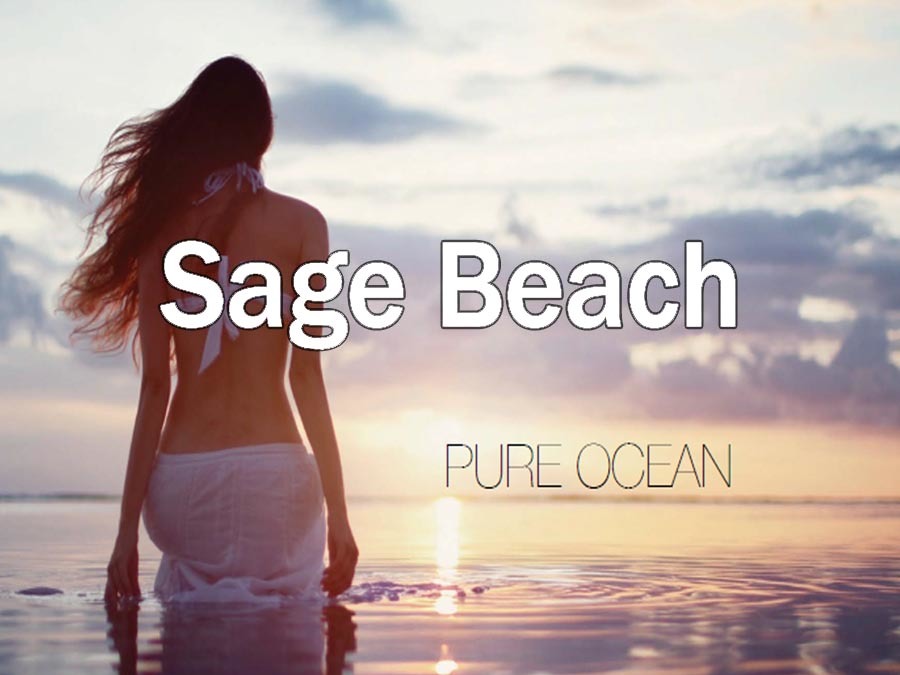 Sage – Hollywood Beach